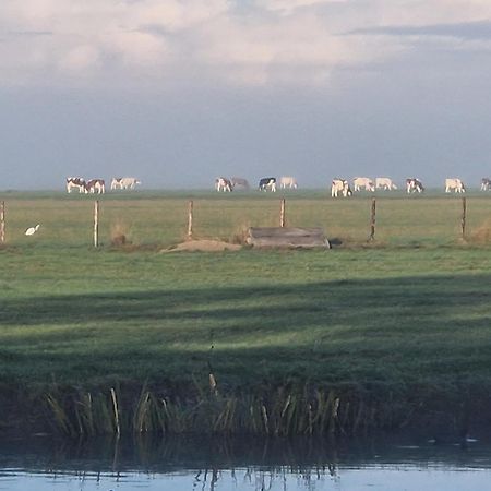 B&B Zusenzomer Oostwoud Zewnętrze zdjęcie