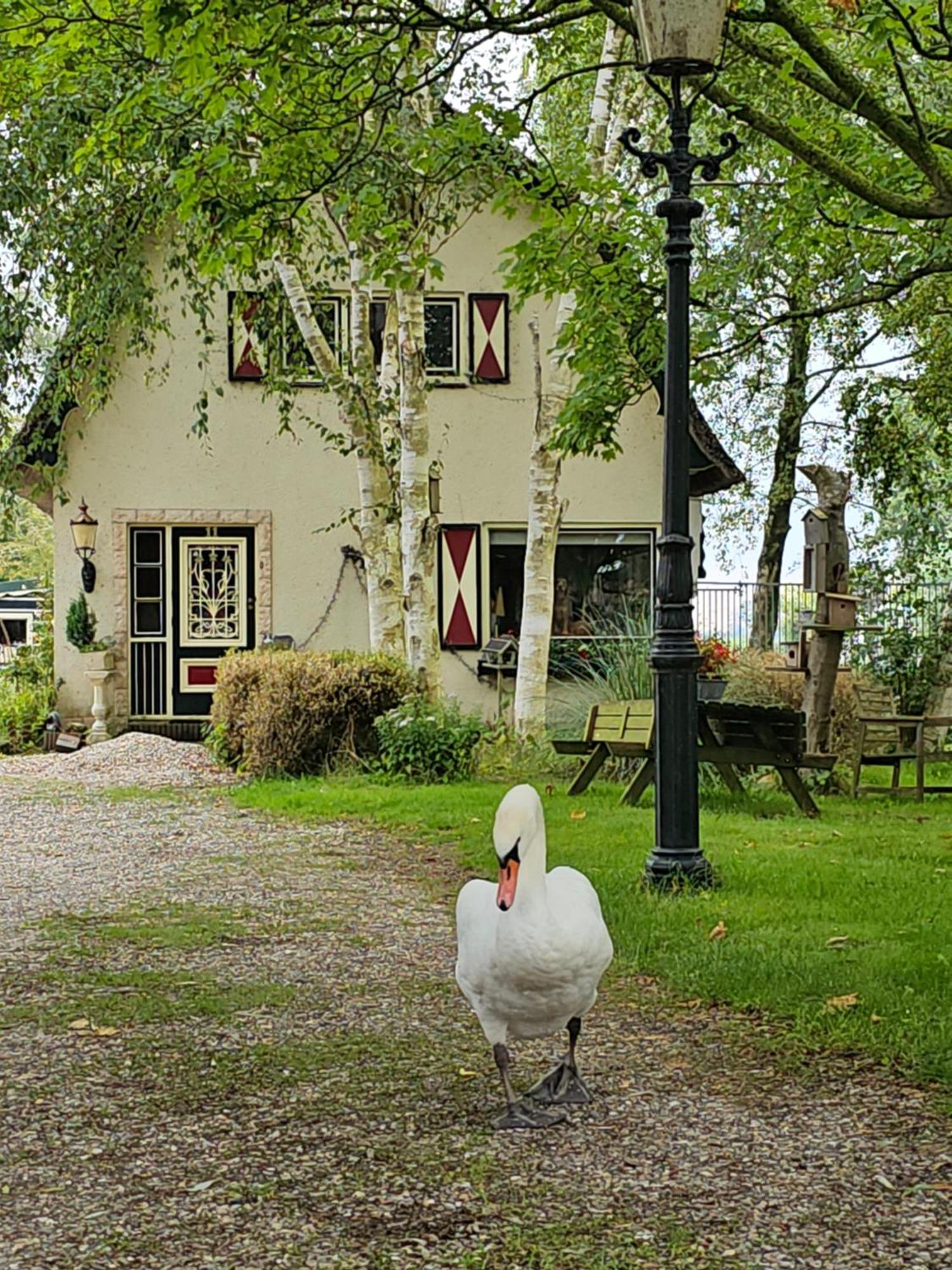 B&B Zusenzomer Oostwoud Zewnętrze zdjęcie