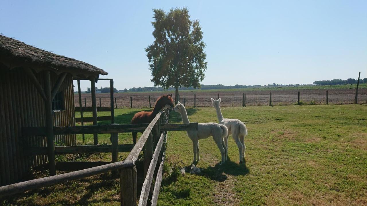 B&B Zusenzomer Oostwoud Zewnętrze zdjęcie